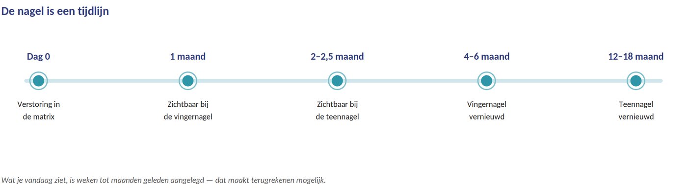 Van verstoring tot nieuwe nagel