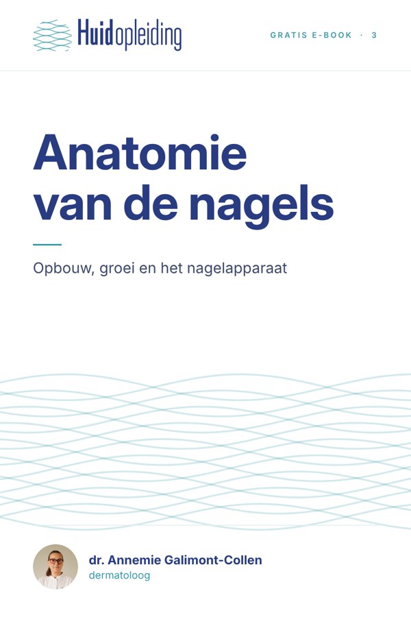 Kaft Anatomie van de nagels